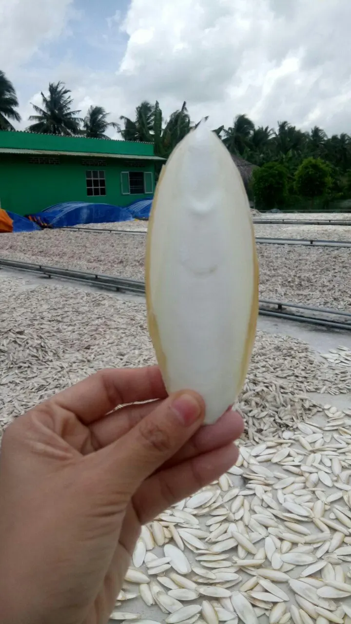 Лучшая цена на кости для корма птиц и лекарств