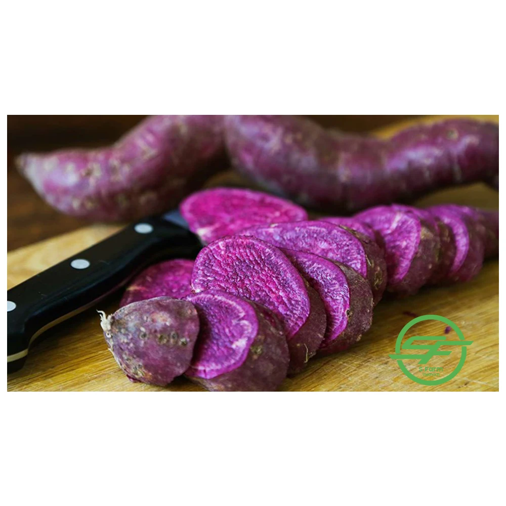 Высококачественный Экологически чистый фиолетовый свежий сладкий картофель из Вьетнама