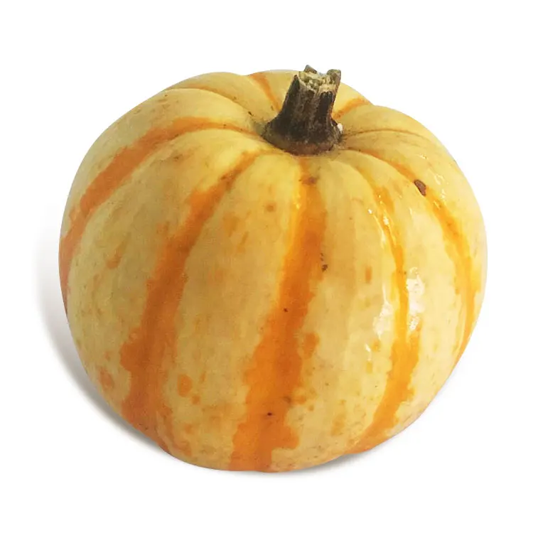 High Quality Pumpkin Fresh vegetables and fruits