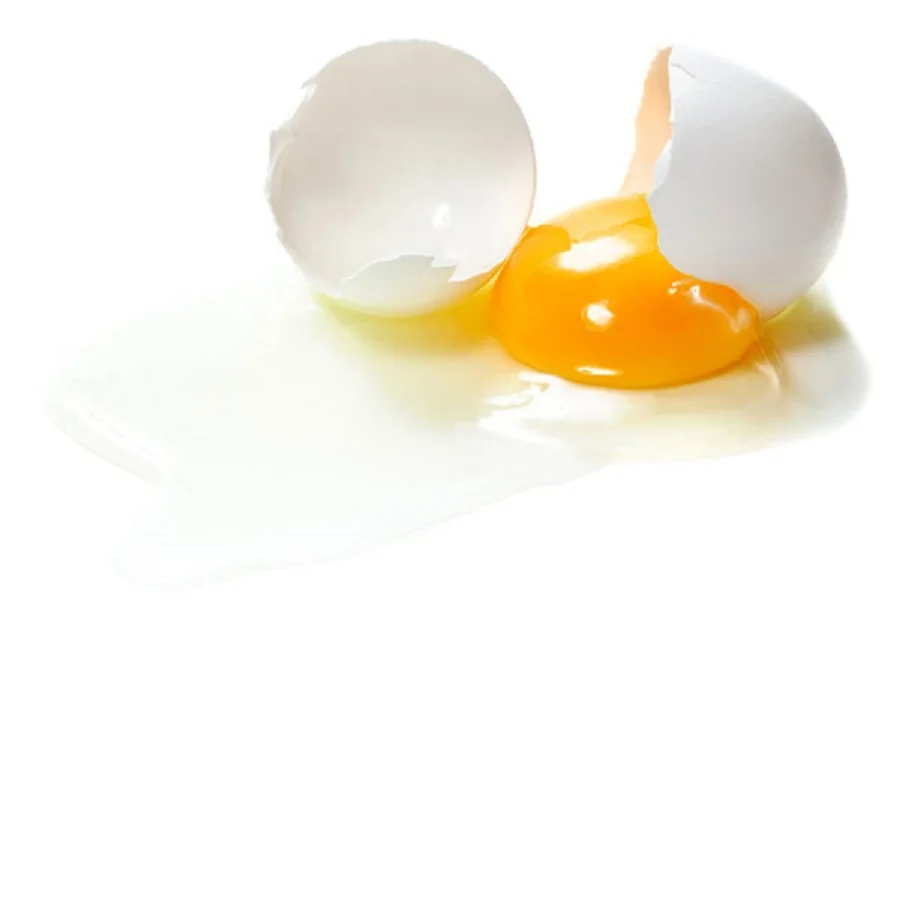 Свежие куриные яйца белые экспортные в Ирак ОАЭ Либерию Молдову Анголу Кипр Великобританию и Грецию.