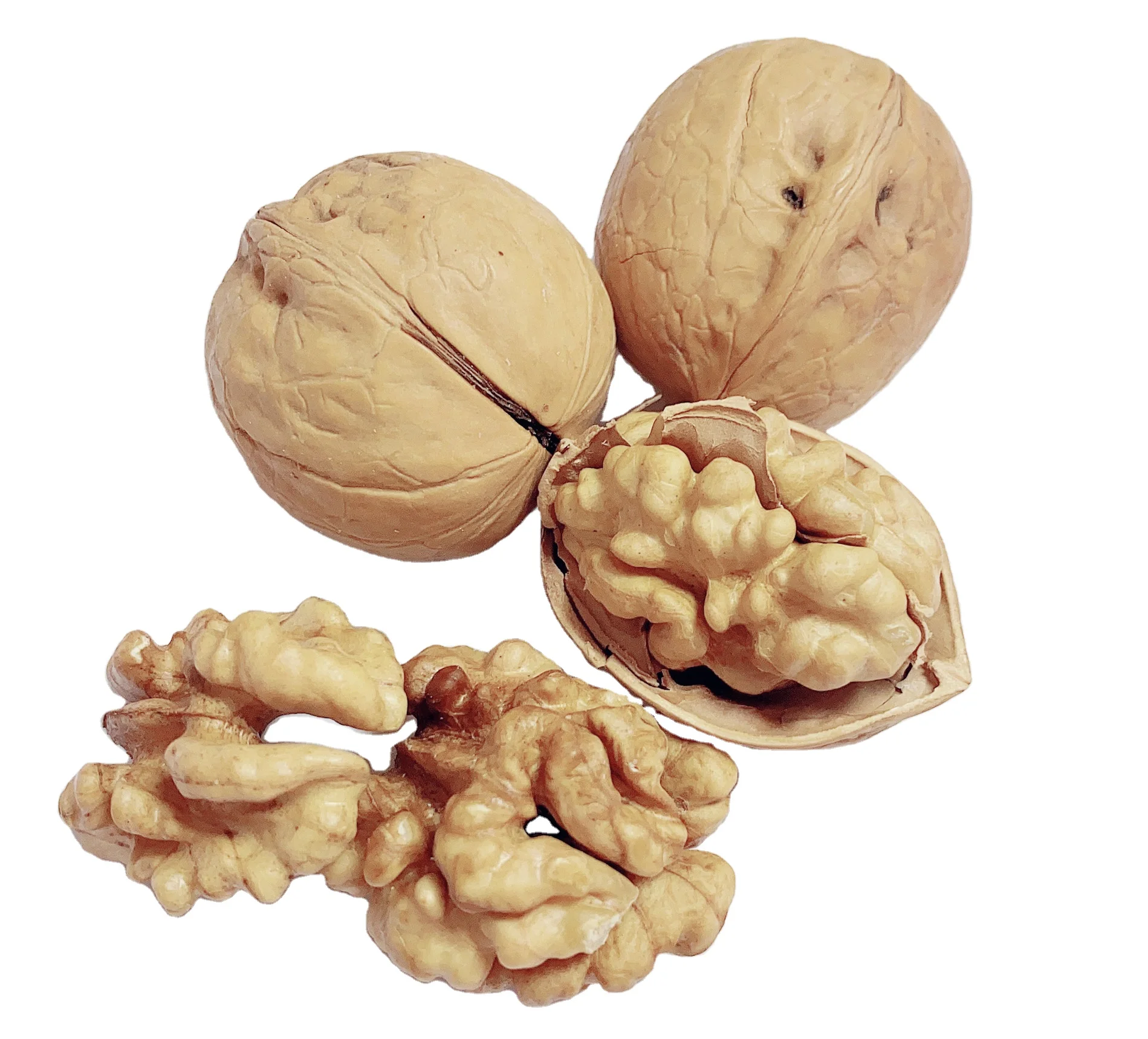 Dry fruit fresh 33 walnuts price Wholesale Dried Nuts Wallnut Kernels walnut without shell