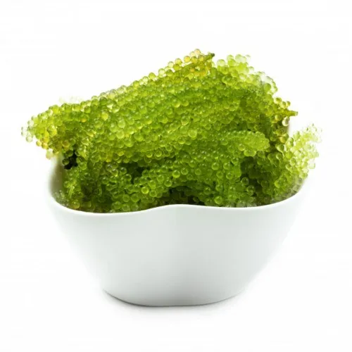  Австрия замороженные водоросли Wakame салат для