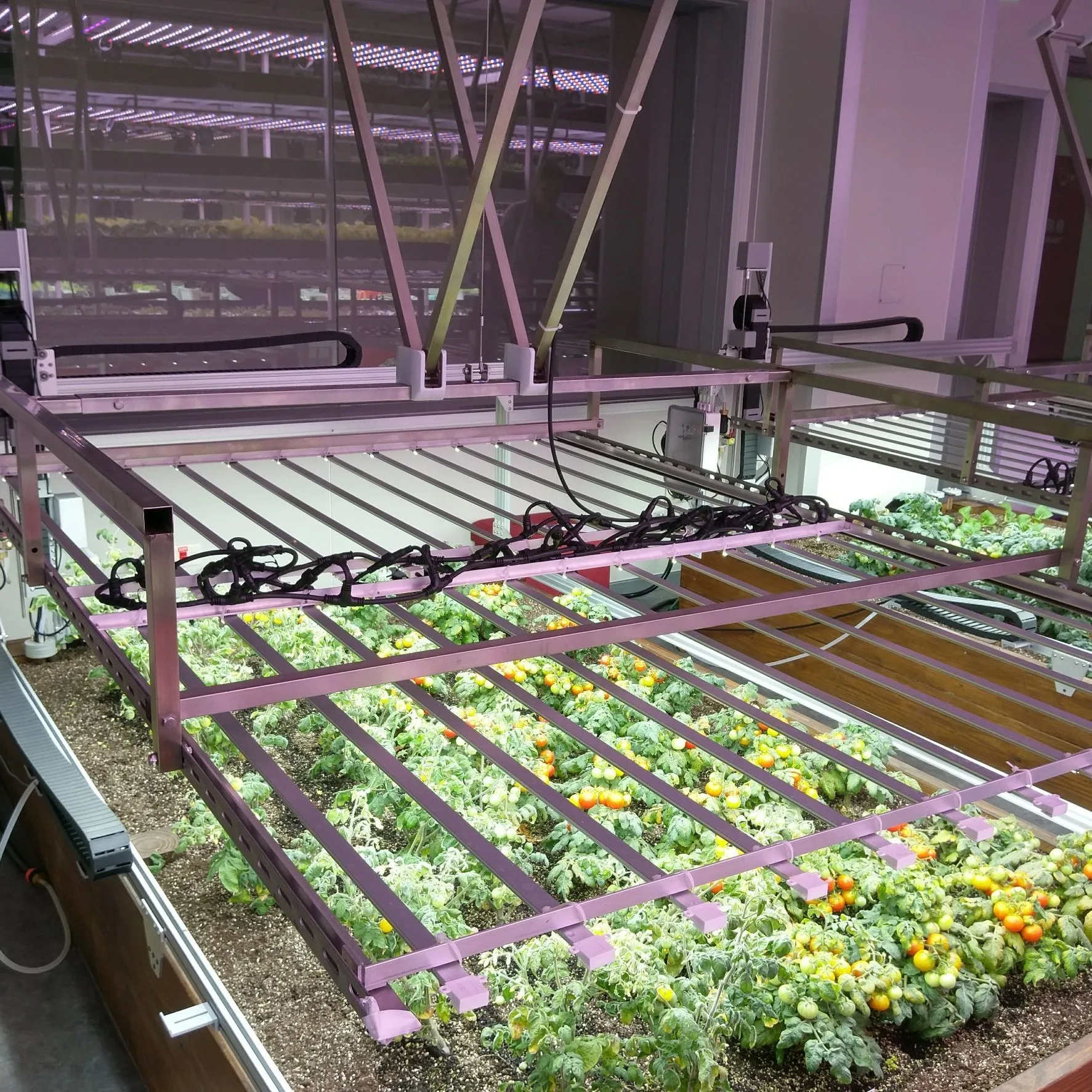 Height Adjustable Hydroponic Planting Lights Mover 110V/200cm