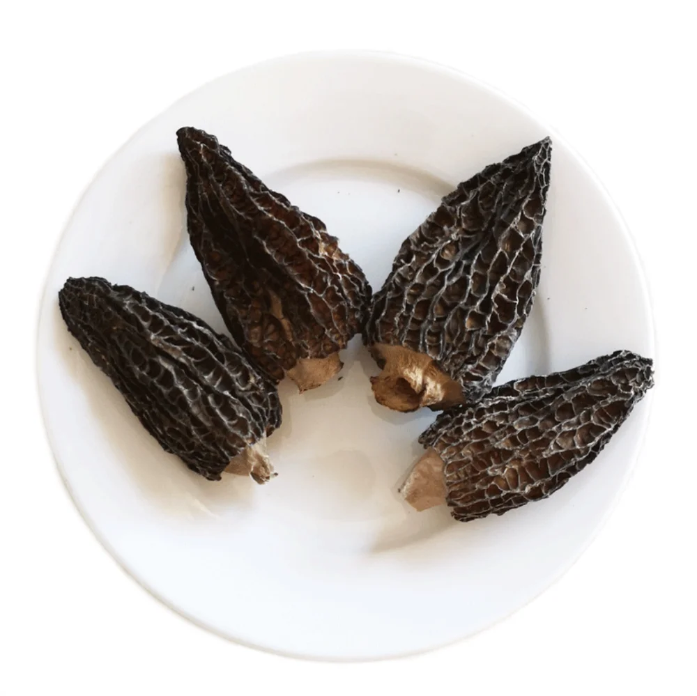  Morel Mushrooms 15 lb bag / box