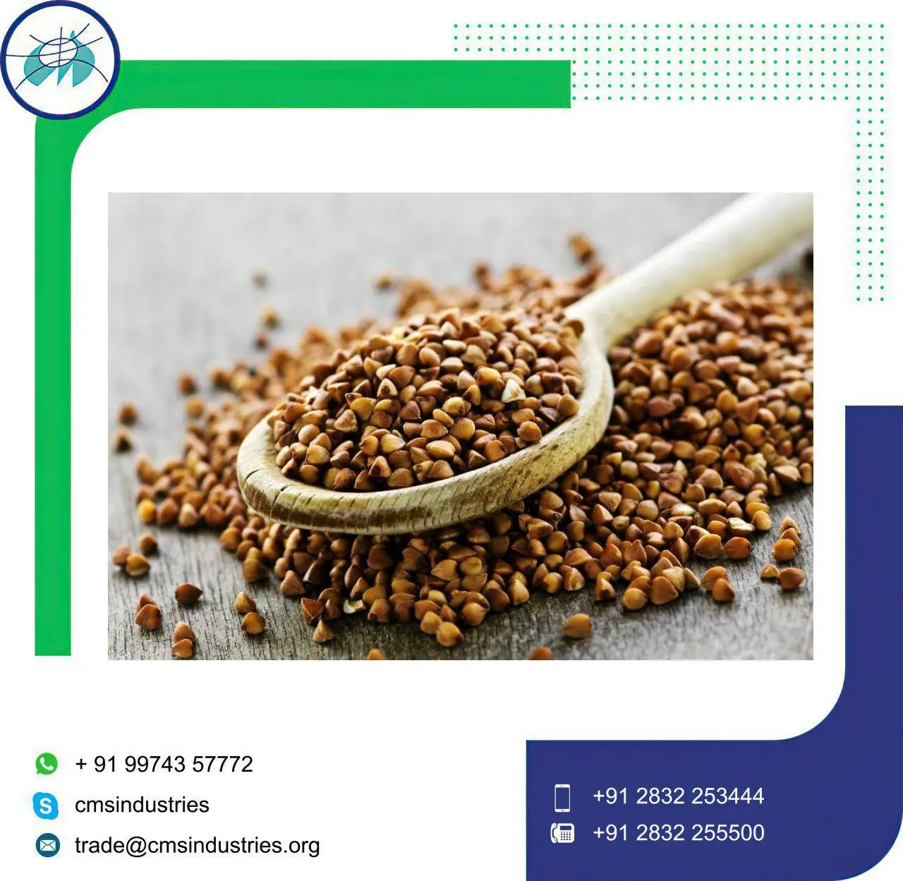  Обработка семян гречихи