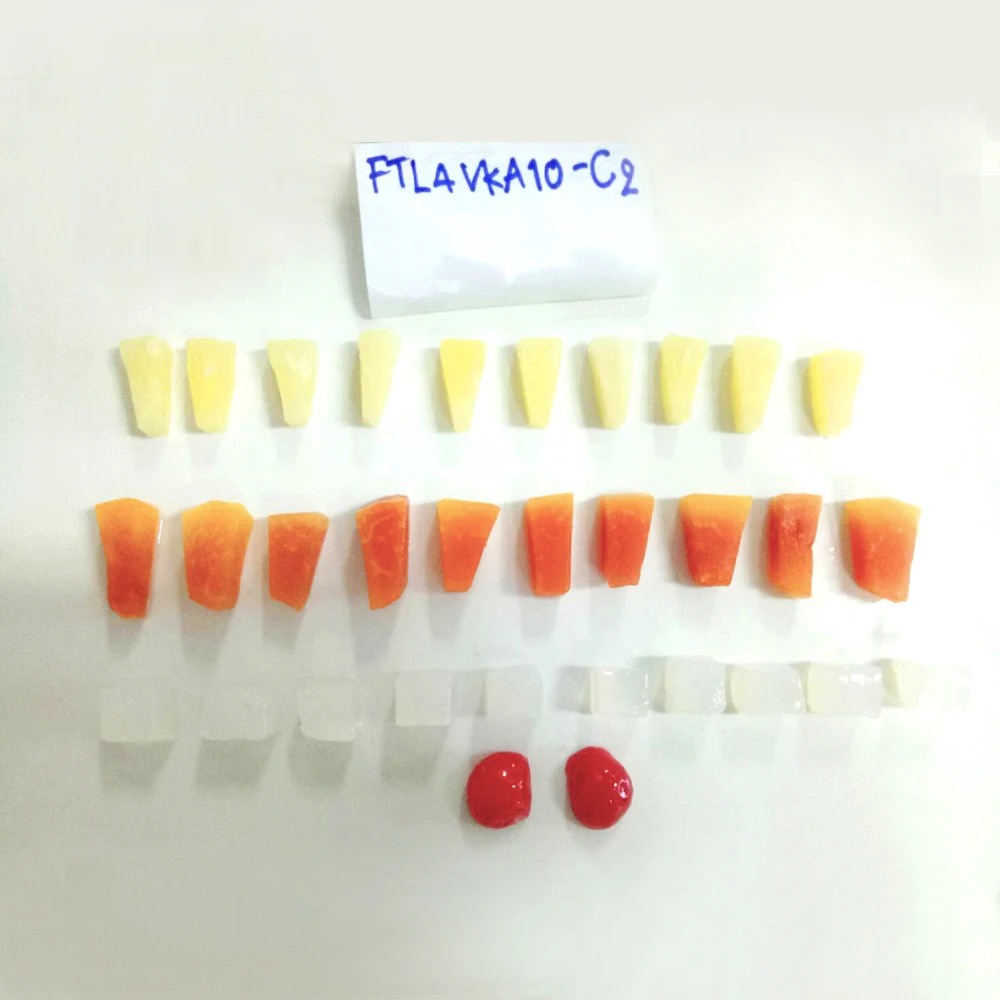 Premium Canned Tropical Fruit Cocktail 15oz in Syrup - Canned Fruit Export from Thailand