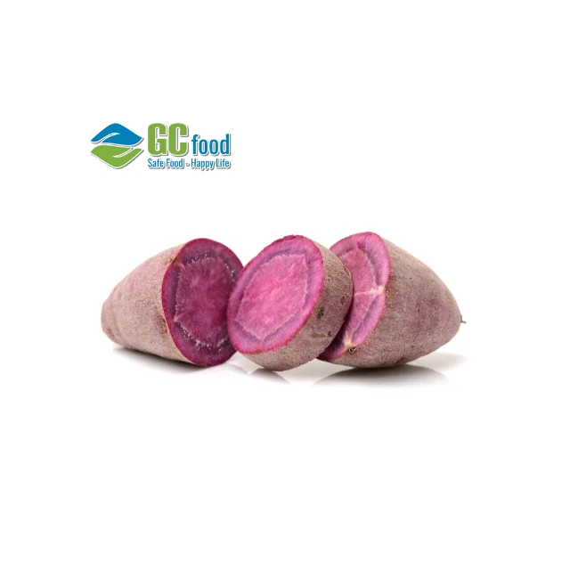 Свежий сладкий картофель-зрелый Урожай 100% органических овощей из Вьетнама (GC Food)