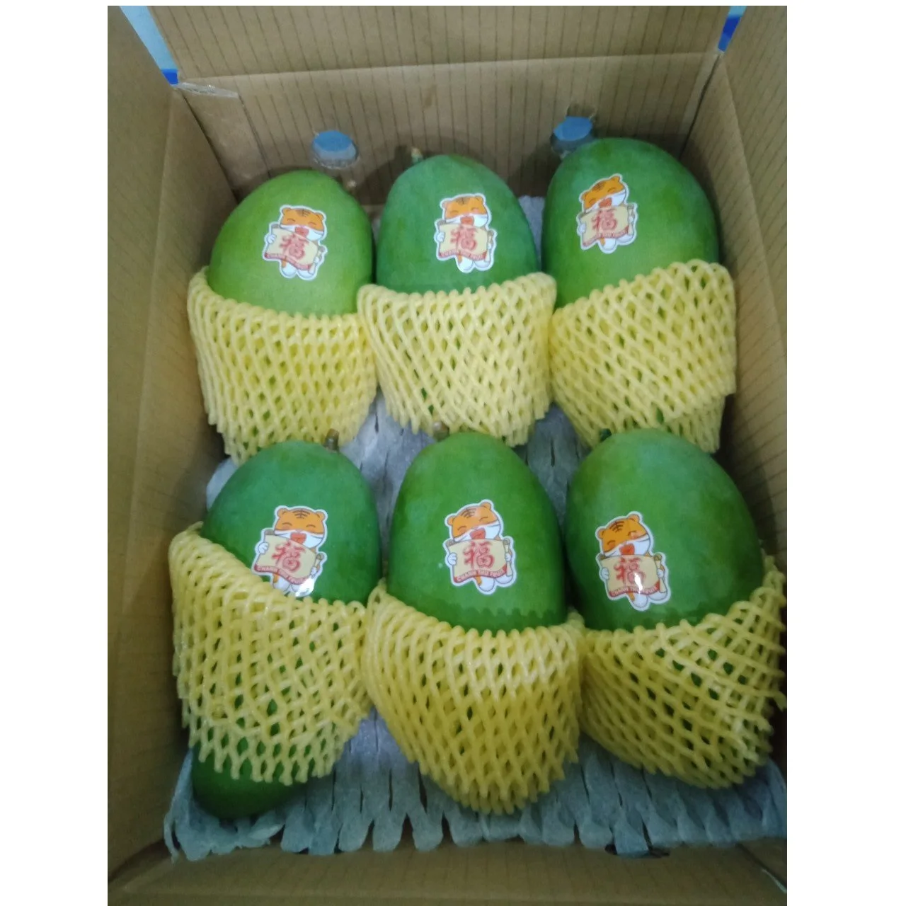 Cheap Price 10 kg/ctn 24 months Shell Life Sweet Taste Year Round Season Frozen Mango Export From Vietnam