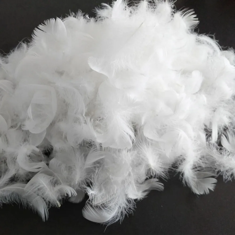 Top Vietnam sale low price 2-8 cm washed nature pure white duck feather
