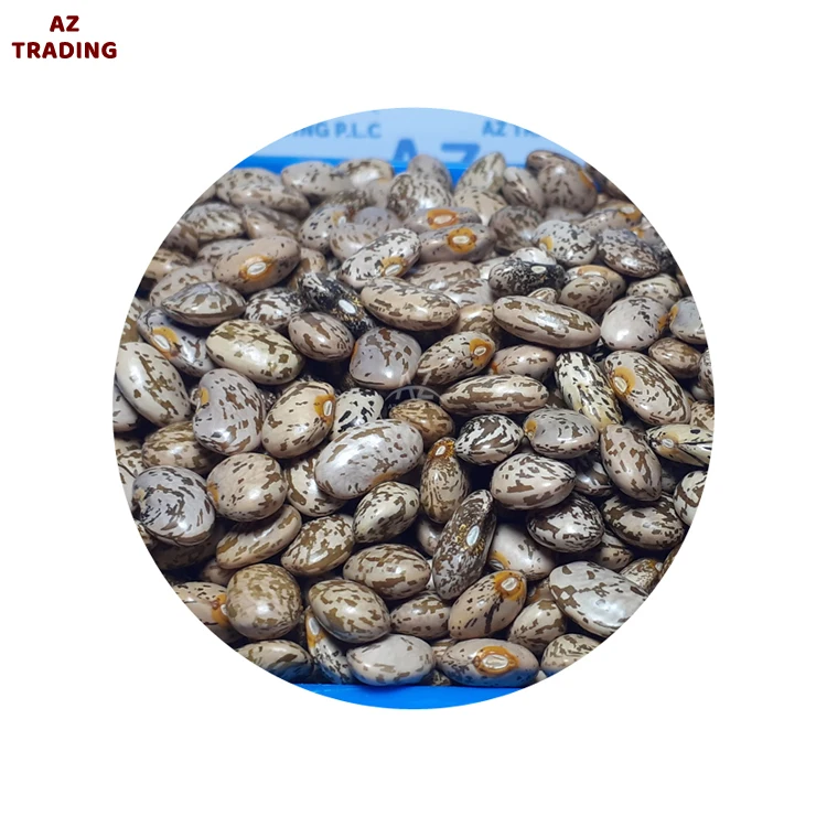 Factory Direct Sale Clean Red Speckled Dried Style Organic Ethiopian Pinto Beans for Wholesale Buyers