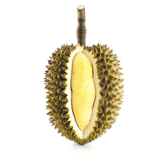 Fresh Durian Thailand Product Most Delicious Durian