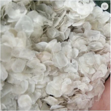 Fish scale collagen Fish scale red tilapia Fish scale red black tilapia In KOREAN/Japan Fish Collagen /Louis +84 943481858