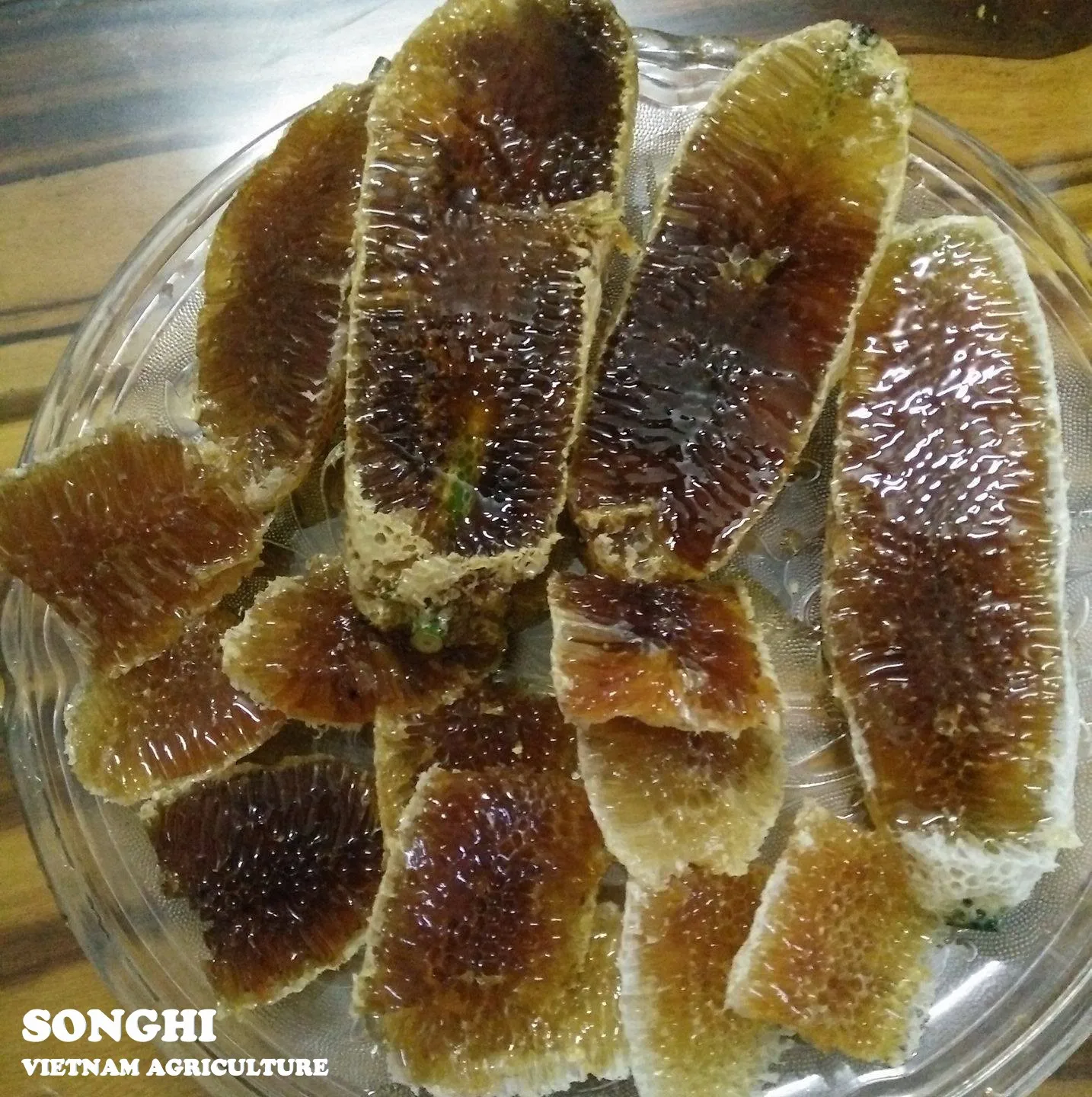 Golden Wattle Honey with High quality and Cheap price / Quick response and Good Services / Wholesale from Vietnam