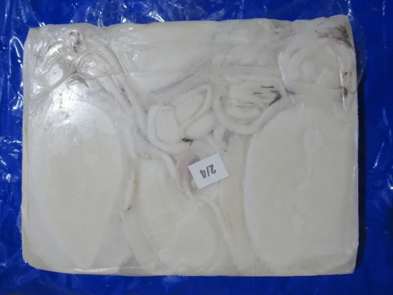 Top quality Cuttlefish cleaned block frozen from India