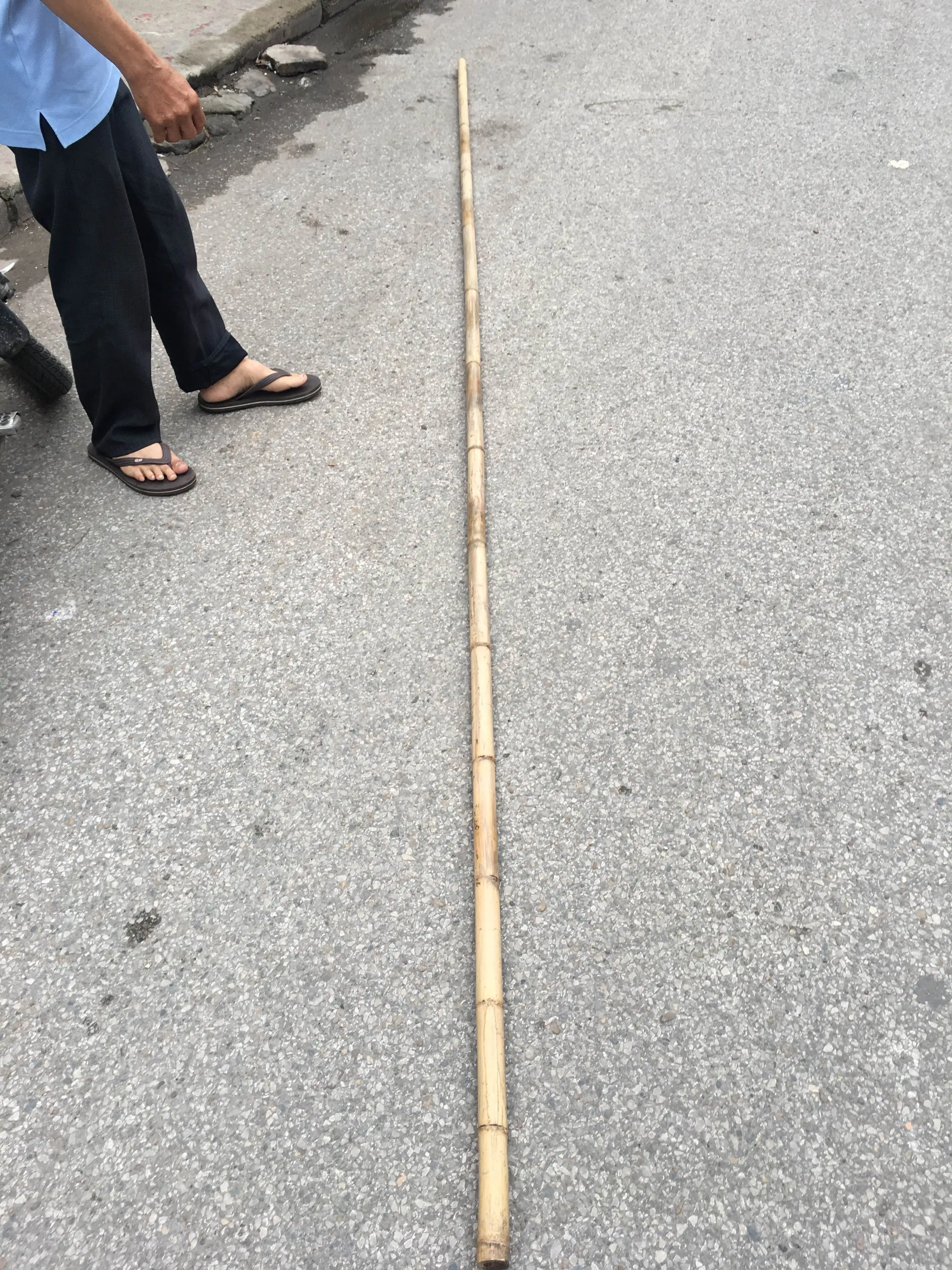 Natural Bamboo Pole/ Green Pole Low Price