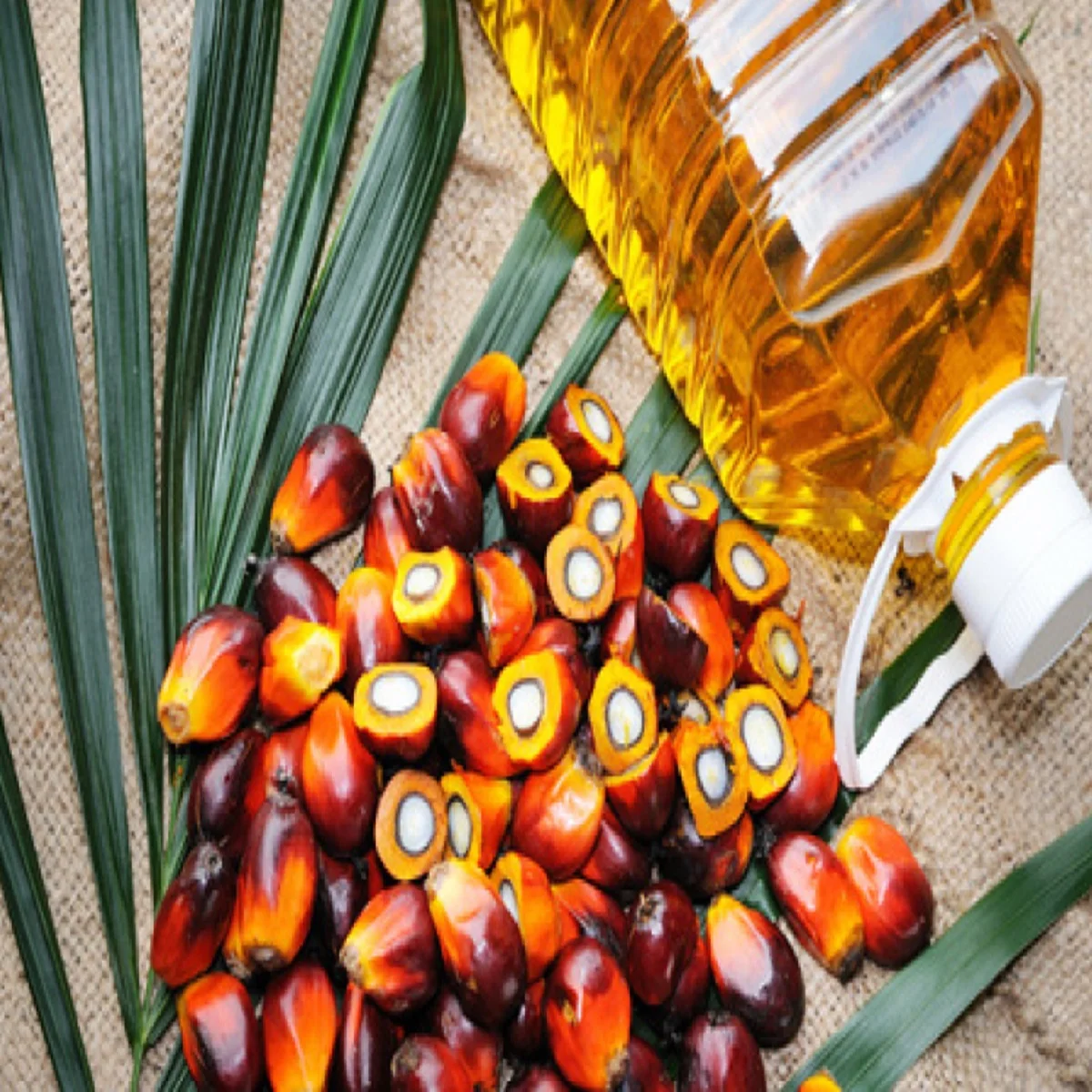 Top Grade REFINED PALM OIL / PALM OIL