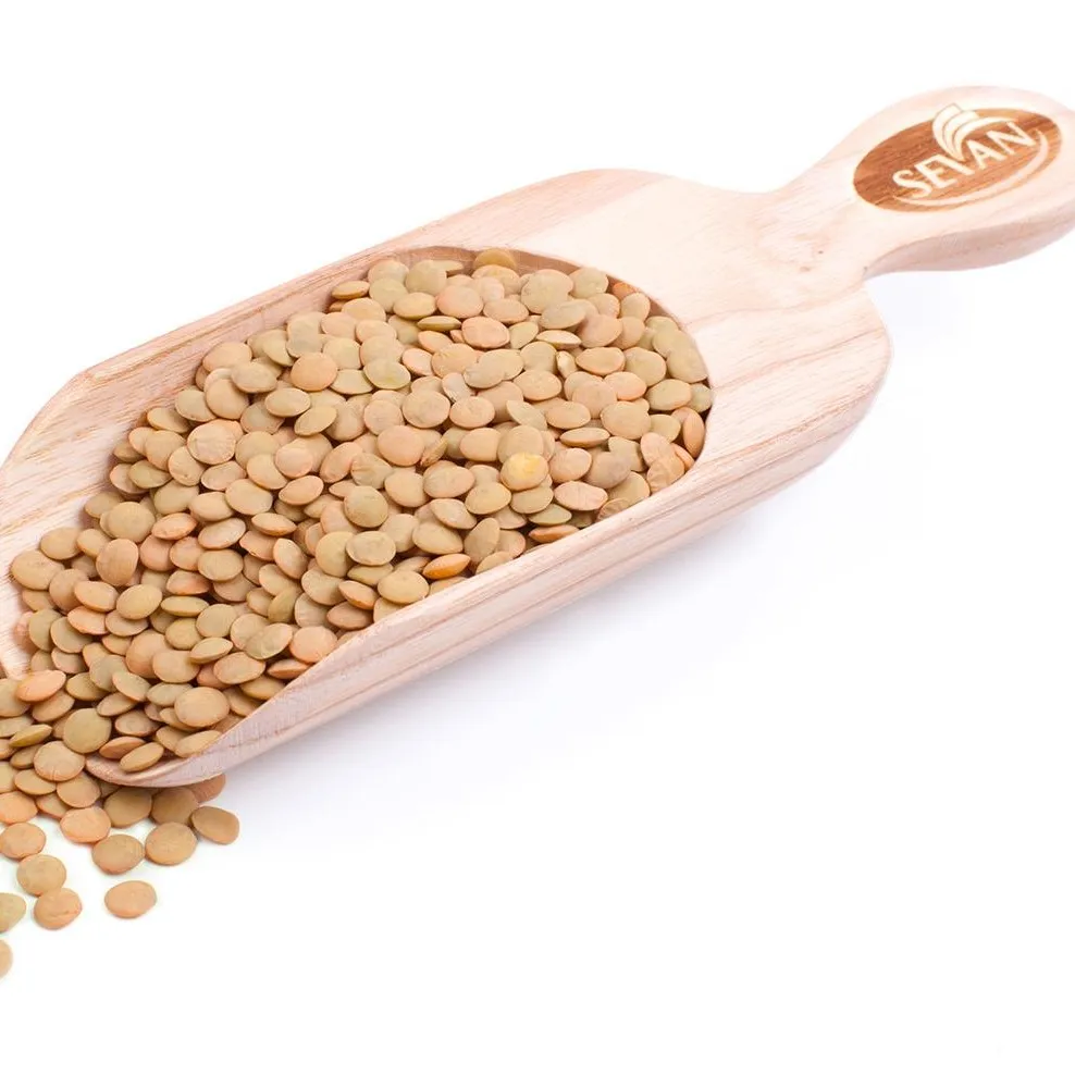 
Premium Quality Green Lentil Origin from Canada 