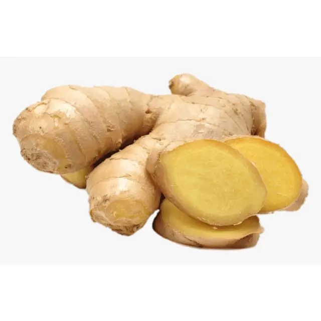 Premium Quality Pure Ginger oil for Healthy Digestion from India