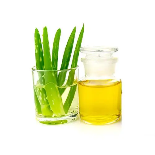 Natural Aloe Vera Oil In Bulk