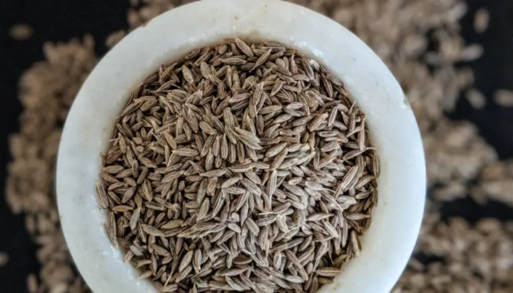 Indian organic cumin seeds powder bold sortex machine clean manufacturer