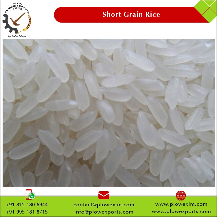 India Manufacture Short Grain Raw Rice Swarna Rice 5% Broken Short Grain Swarna Rice