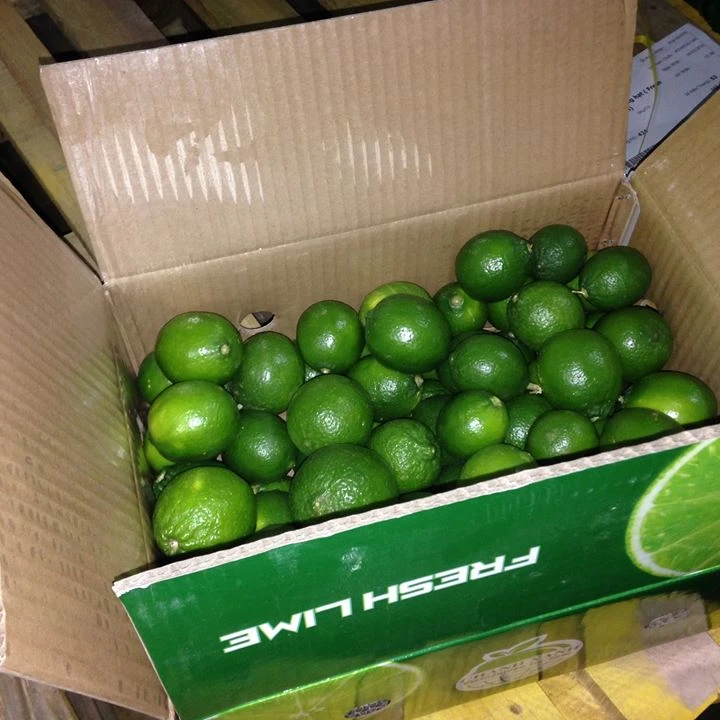 Свежий лайм/лимон без семян Вьетнам высокое качество лучшее предложение для экспорта свежий готов к отправке ЕС Азиатский рынок