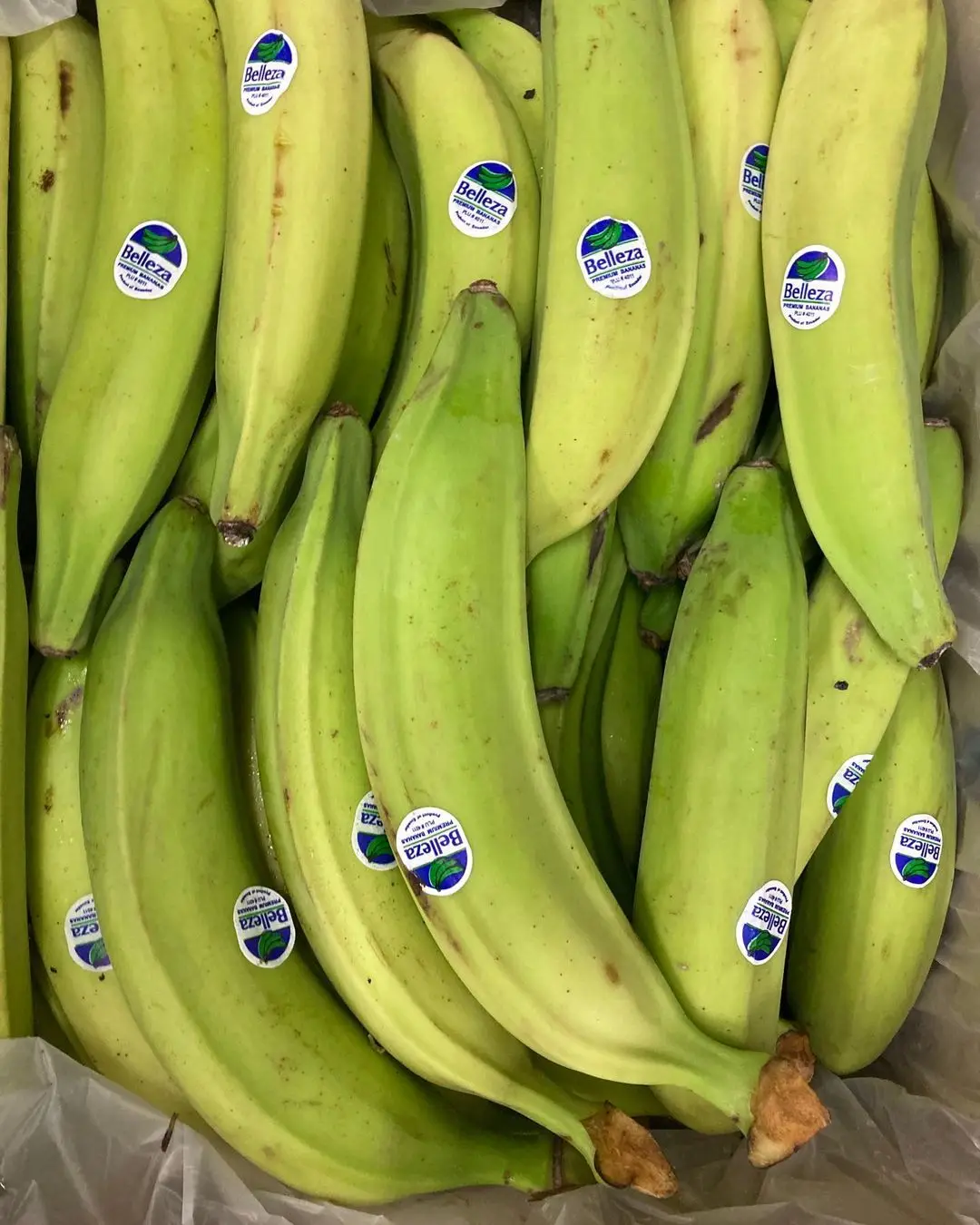 Свежие зеленые бананы и растения для продажи (11000000543146)
