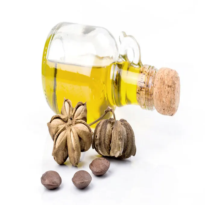 Oil Factory Supply Non-GMO Organic Flaxseed Oil Cold Pressed Vegan 100% Omega3 Linseed Oil from vietnam best price