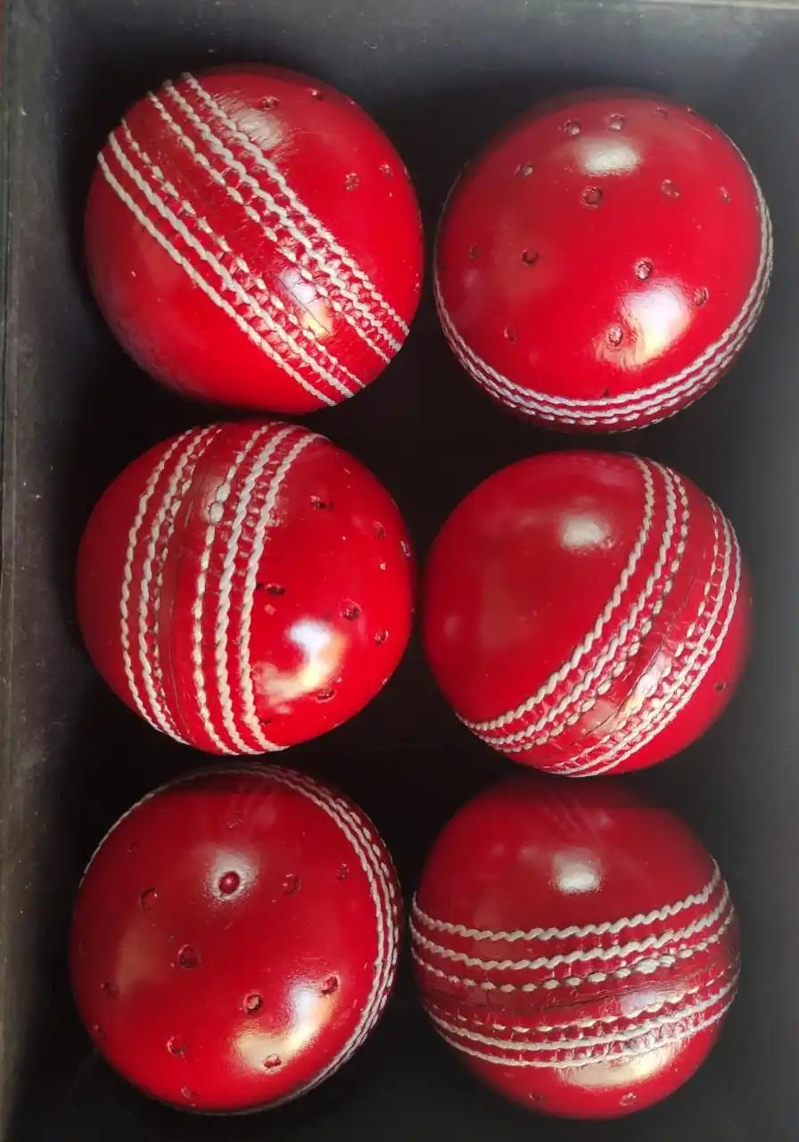 Swinger Cricket Ball for Training & Coaching