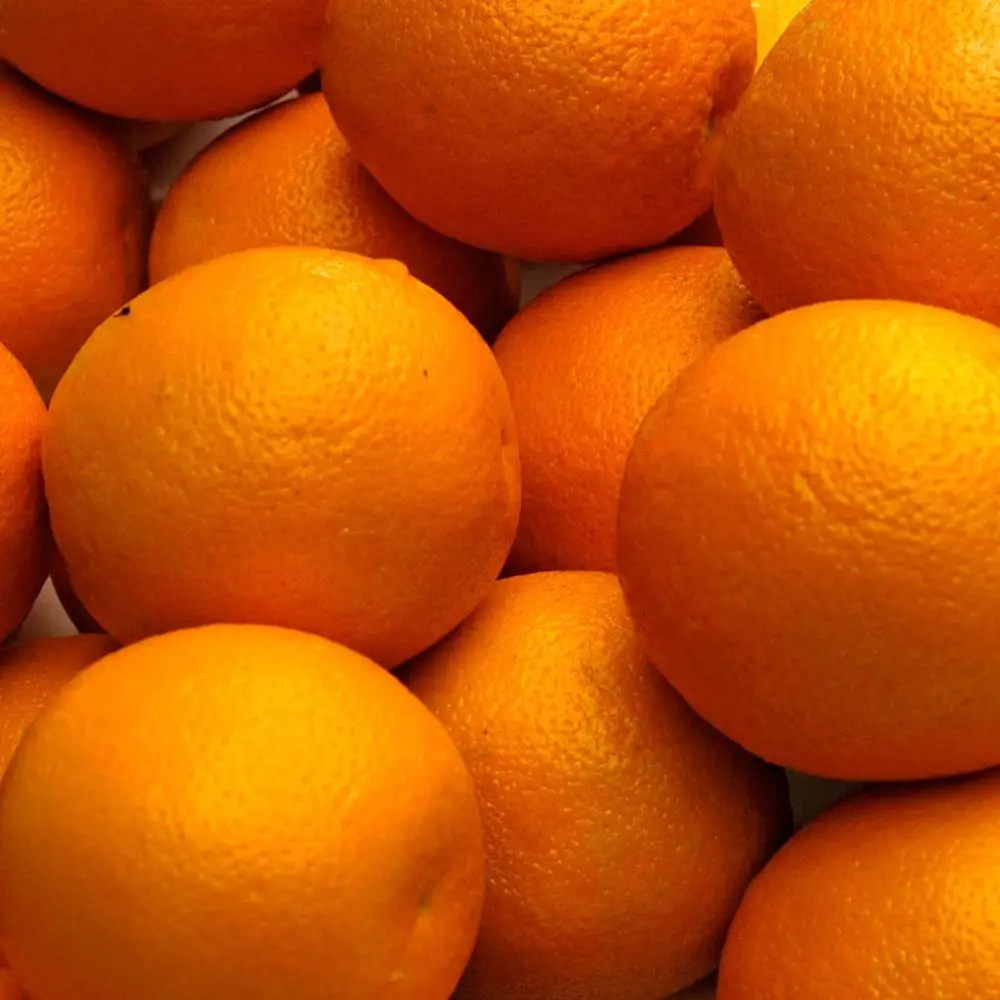 
Sweet Fresh mandarin orange/Fresh Orange, Naval Orange, Valencia Oranges for sale 