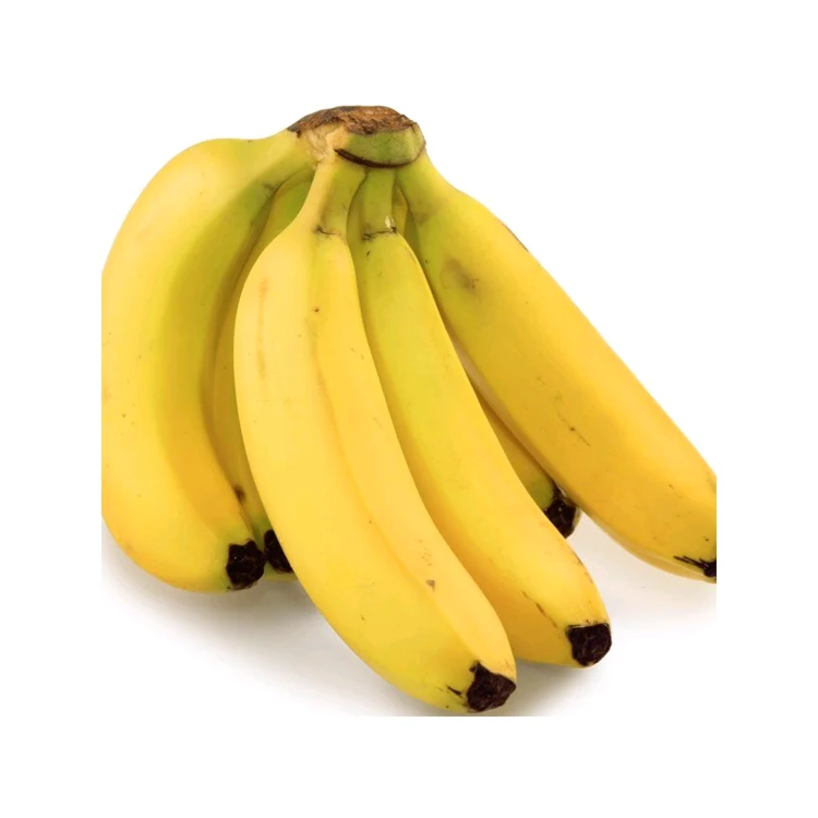 High Quality Best Selling Wholesale Natural Big Hand Banana