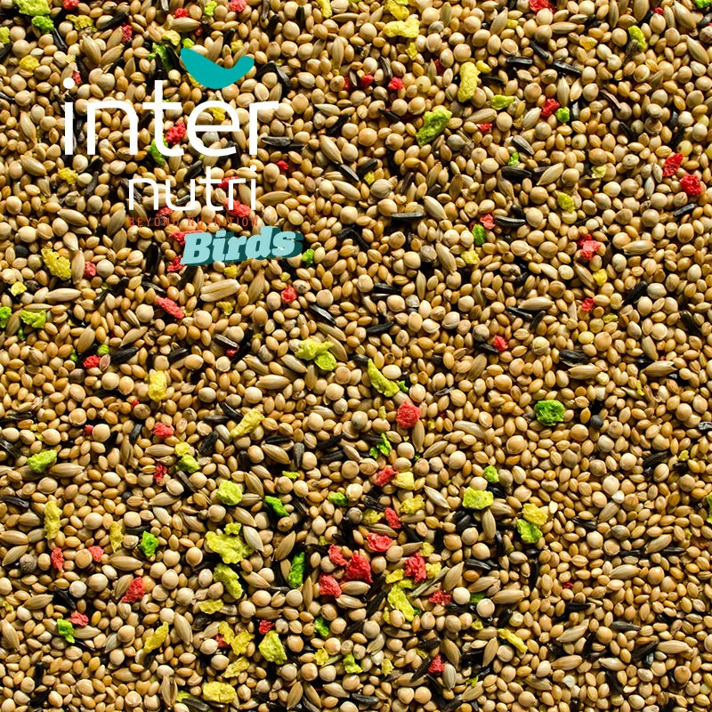 
Seed mixture for exotic birds | INTERNUTRI EXOTIC 5KG 