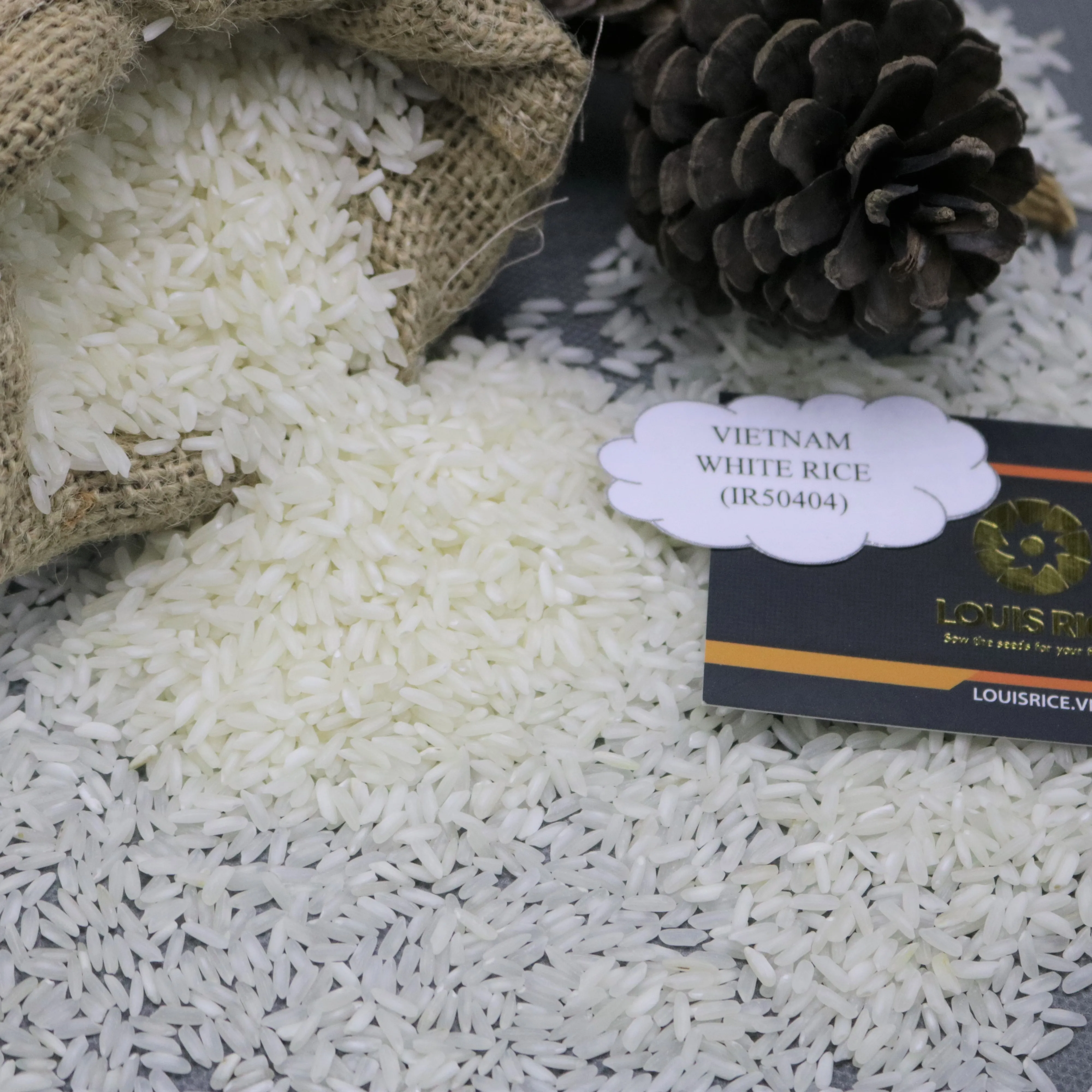 Cheap price vietnam white rice 5% broken MR. WAYNE (Whatsapp: +84909077813)