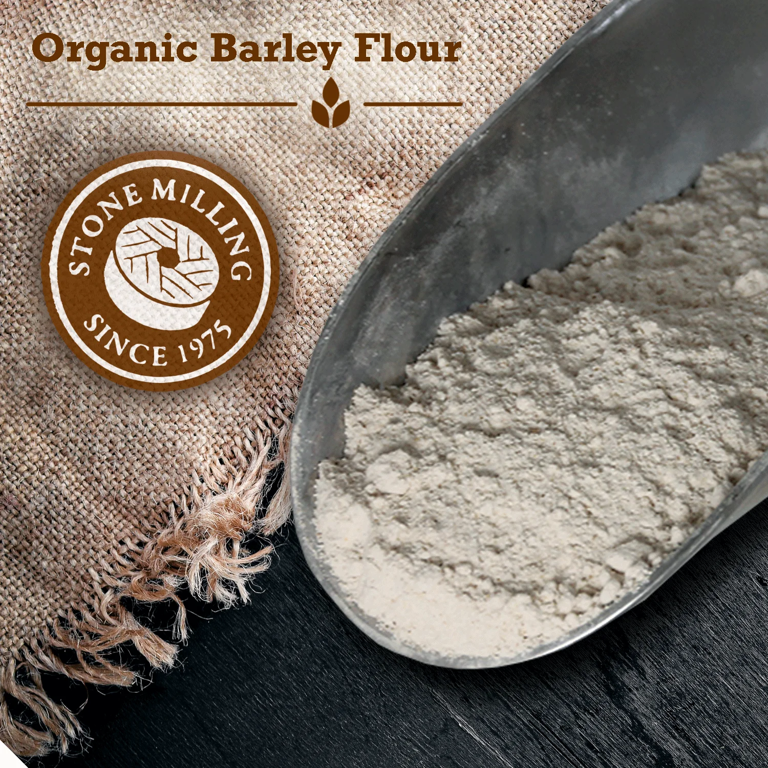Great River Organic Milling Organic Specialty Barley Flour, 50-pounds (Pack of 1) Flour for Baking Barley