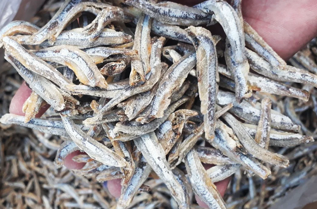 THE FINEST QUALITY OF DRIED ANCHOVY FROM VIETNAM WITH AN IMPRESSIVE PRICE - NATURAL SUNDRY & NUTRITIOUS FOR HEALTH