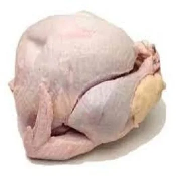 
Frozen whole halal Turkey/Turkey meat/Turkey wings/Turkey legs for sale 