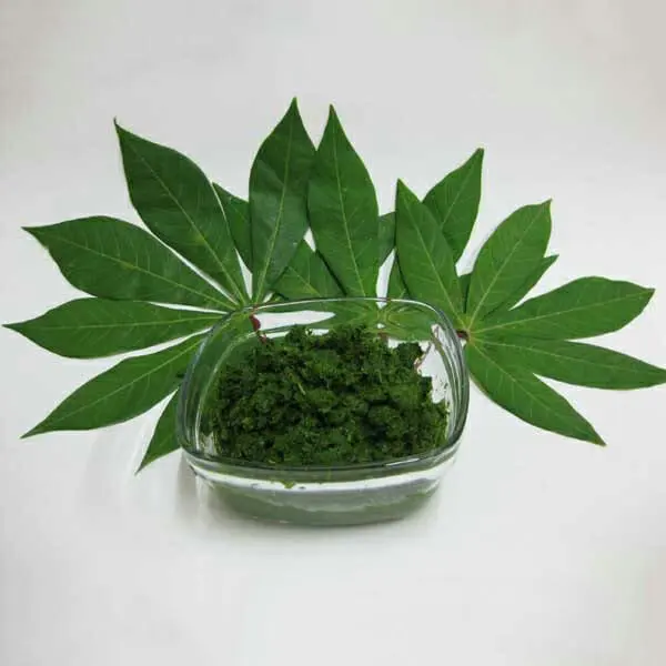 HIGH PROTEIN CASSAVA LEAVES IN VIET NAM - Ms. Elaine +83 375 431 541