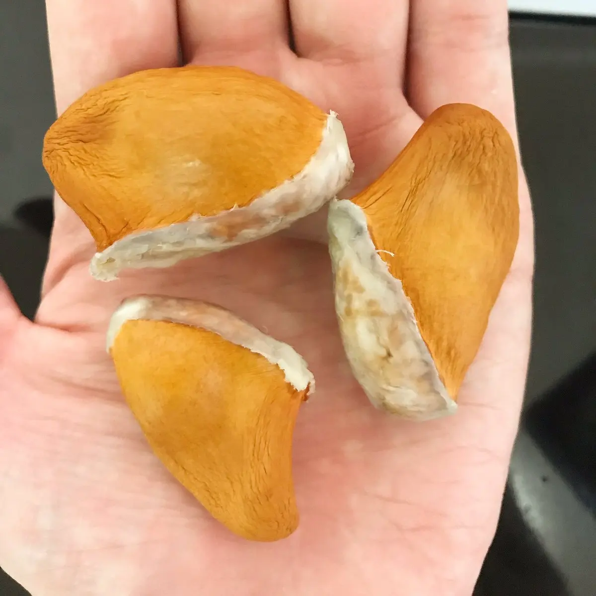 Высококачественные семена дуриана из Вьетнама 2021