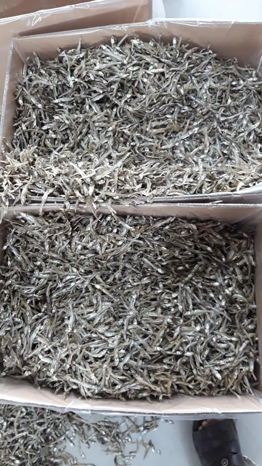 Best quality Dried anchovy by sunshine from Vietnam High nutritive dry anchovy fish/ dried anchovy
