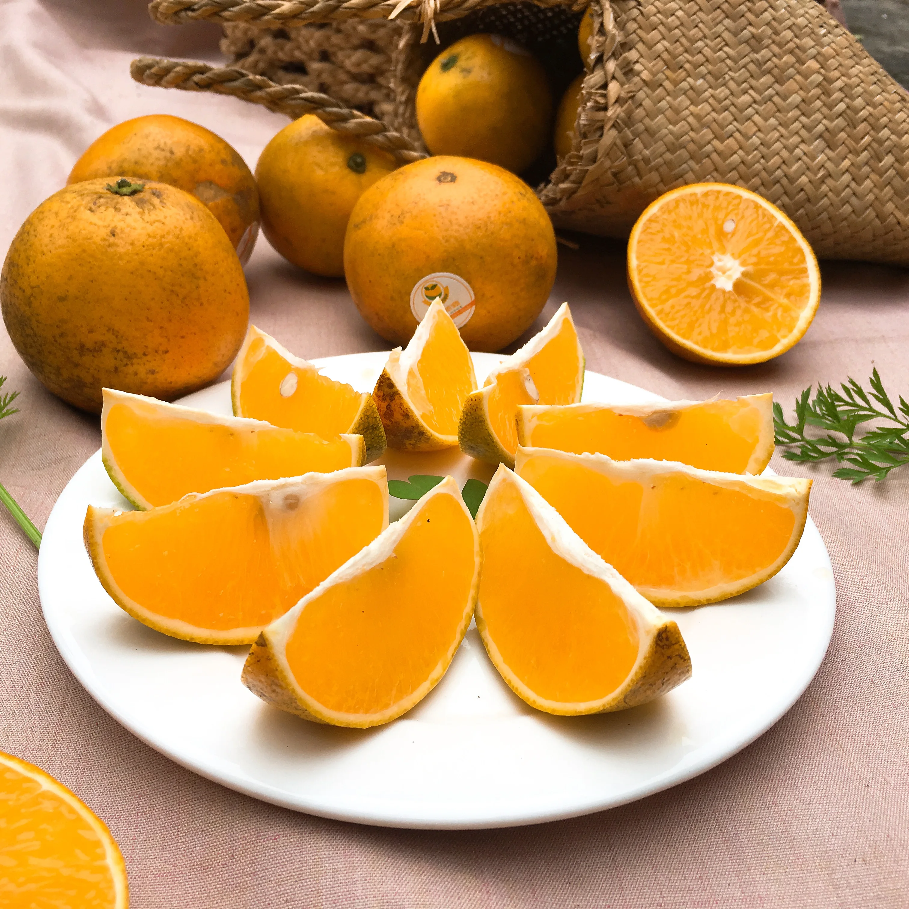 Hot Selling Delicious Sweet and Sour Fresh Citrus fruit Orange With Size 5 - 8.5cm Vietgap Certification
