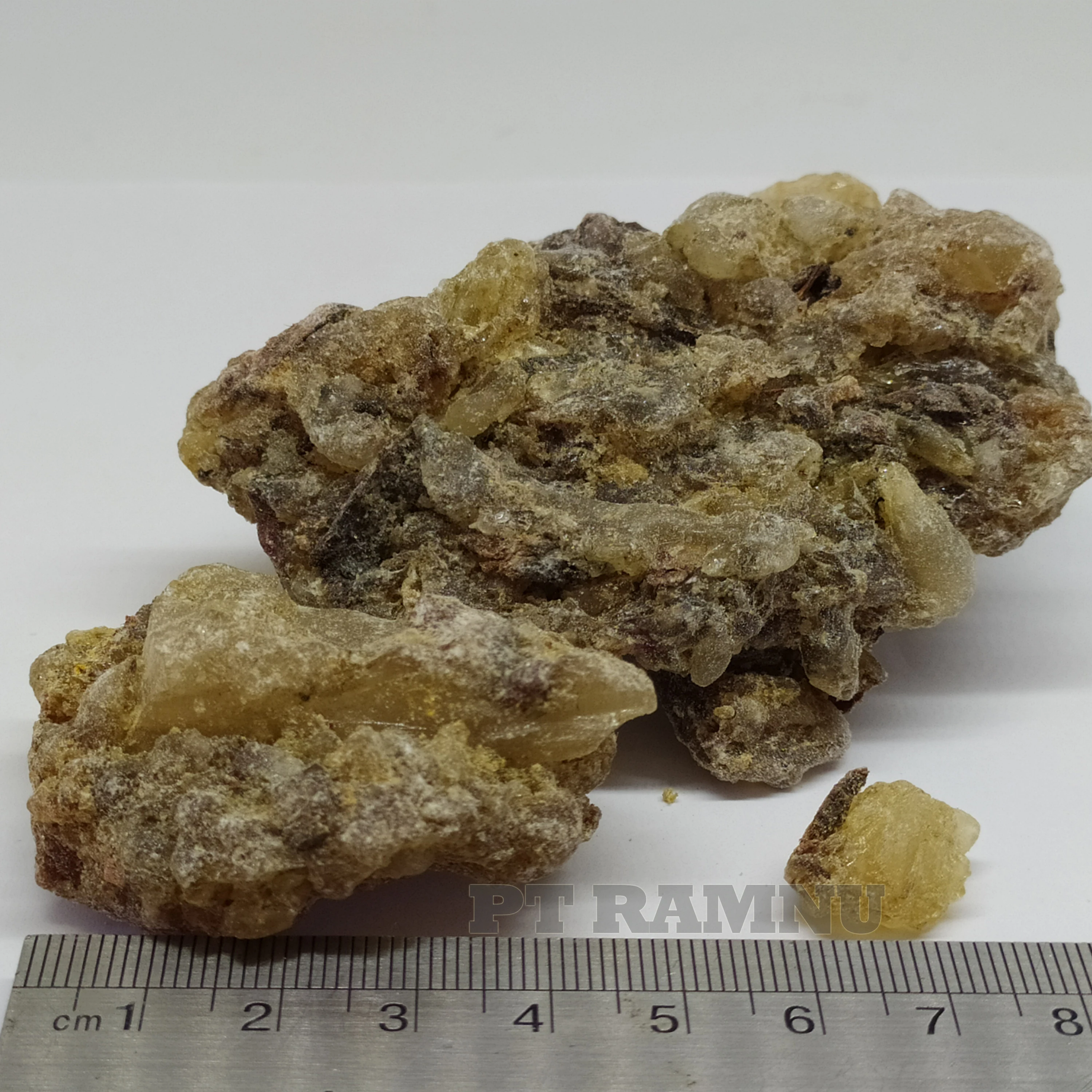 
Gum Copal WS from Indonesia 