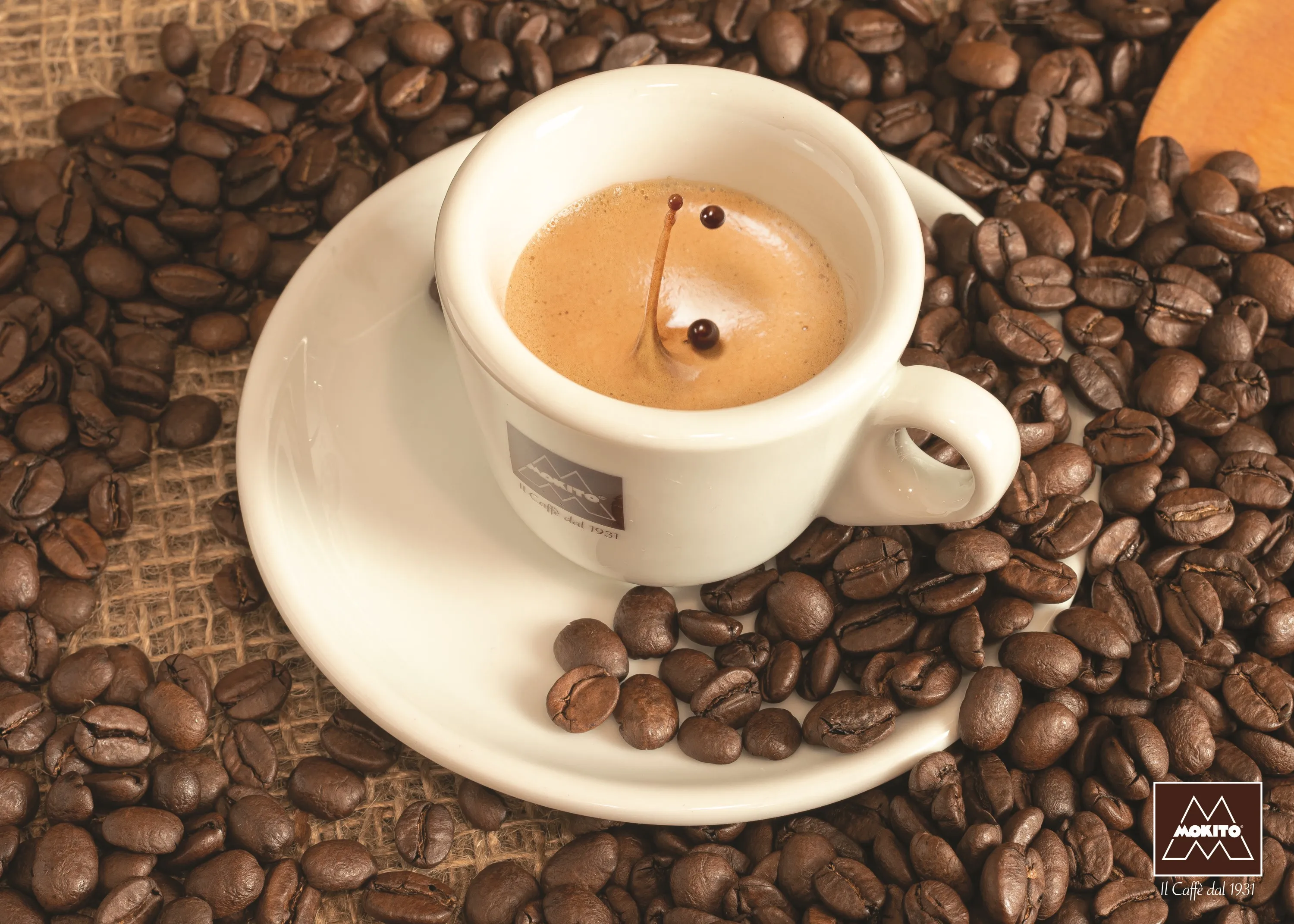 Лучший 100% кофе арабика-50 капсул совместимый с Dolce Gusto-аромат красных фруктов и цитрусовых