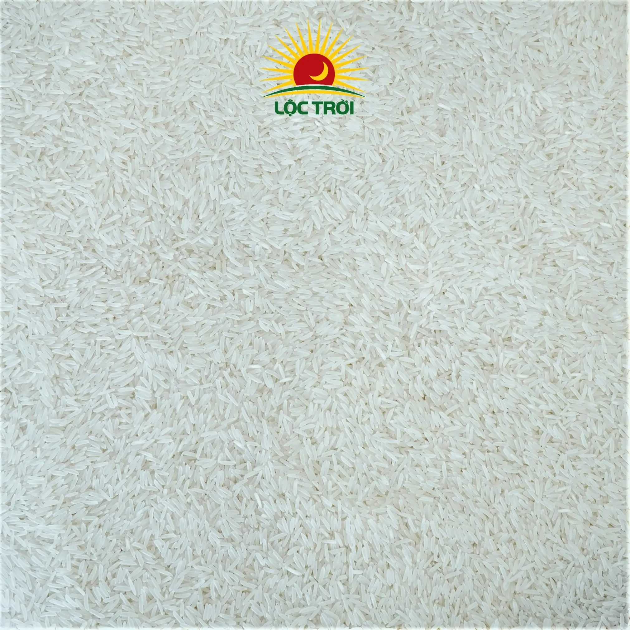 Wholesale High Quality Dried Fragrant Rice LT28 Variety from Vietnam Best Supplier Contact us for Best Price
