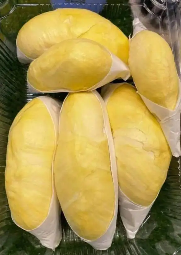 GMP Certification Common Cultuvation Type Durian fresh durian from Thailand export from Thailand