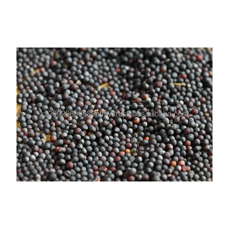 Rapeseed with the delivery throughout the world effective natural fertilizer early sowing crops grain