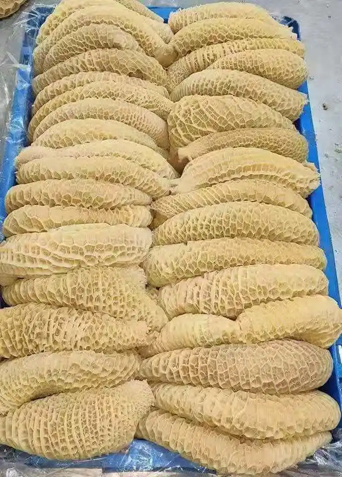Beef Tripe / Frozen Beef Tripe