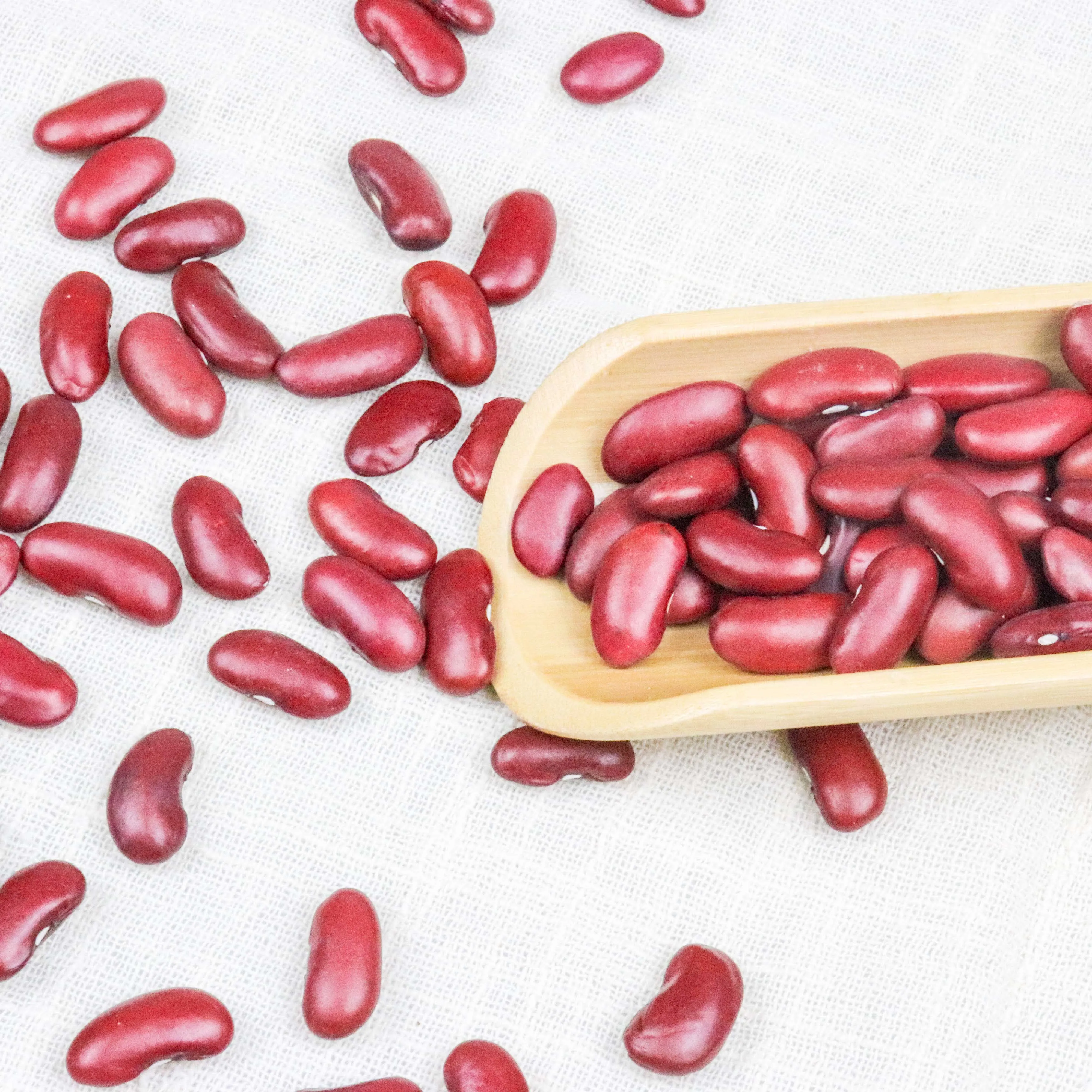 
High Quality speckled light, Red, Black & White Kidney Beans 
