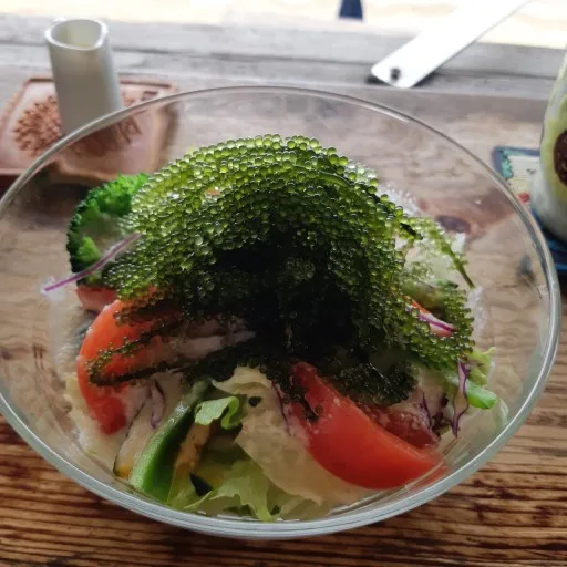  Дегидратированный морской виноград румпай раут в рассоле/зеленом морском винограде макроводоросли Доставка течение двух рабочих дней (мс Деми + 84 961733400)