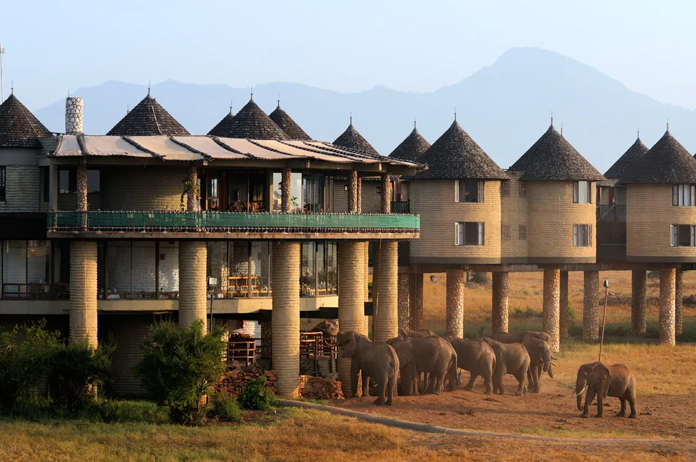 3 DAY MOMBASA TSAVO EAST AND SALTLICK SAFARI