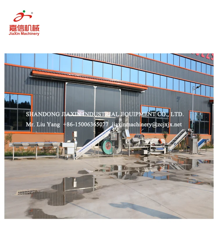 Hot sale fruit and vegetable washing equipment machine line